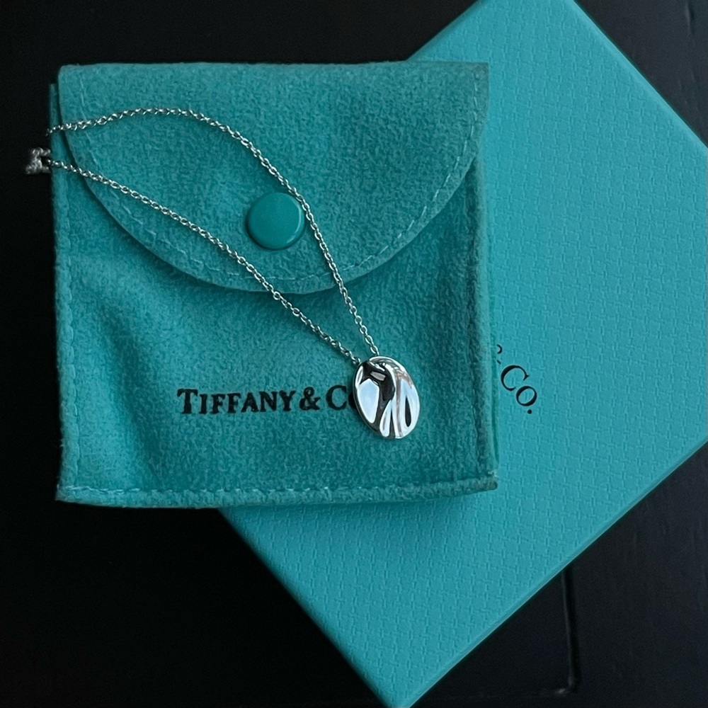Tiffany & Co Elsa Peretti Aquarius Pendant